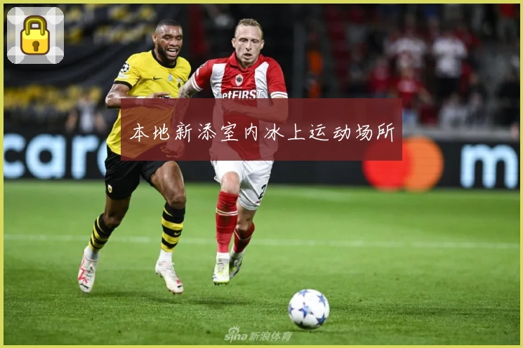 本地新添室内冰上运动场所