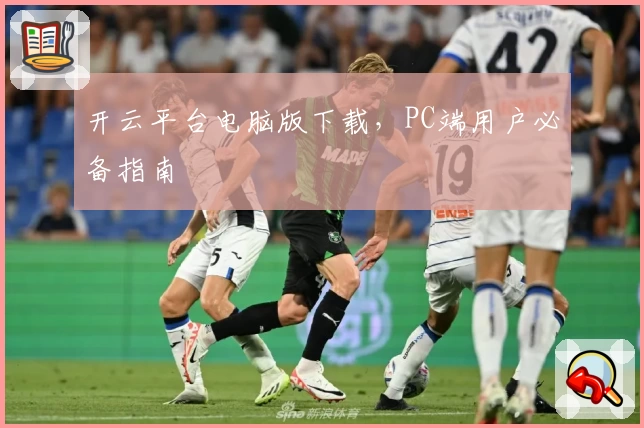 开云平台电脑版下载，PC端用户必备指南