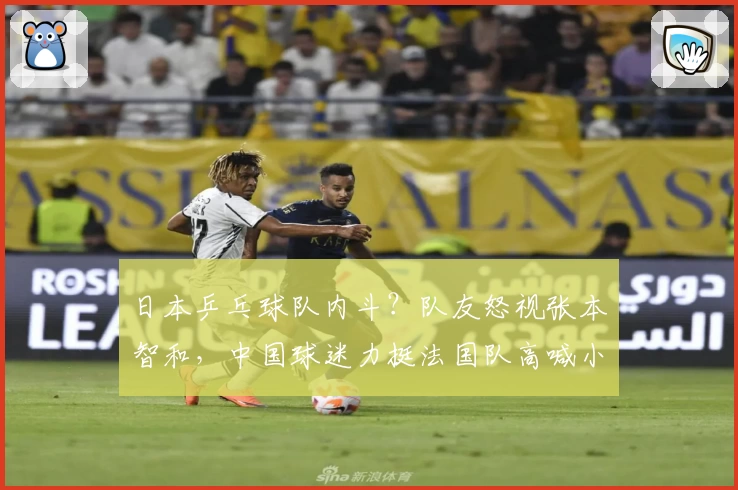 日本乒乓球队内斗？队友怒视张本智和，中国球迷力挺法国队高喊小布！