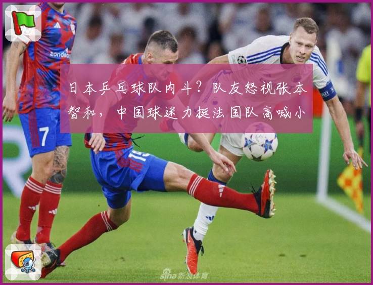 日本乒乓球队内斗？队友怒视张本智和，中国球迷力挺法国队高喊小布！